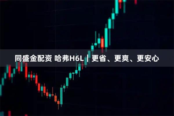 同盛金配资 哈弗H6L｜更省、更爽、更安心