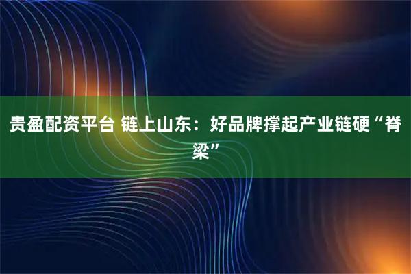贵盈配资平台 链上山东：好品牌撑起产业链硬“脊梁”