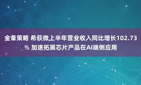 金夆策略 希荻微上半年营业收入同比增长102.73% 加速拓展芯片产品在AI端侧应用
