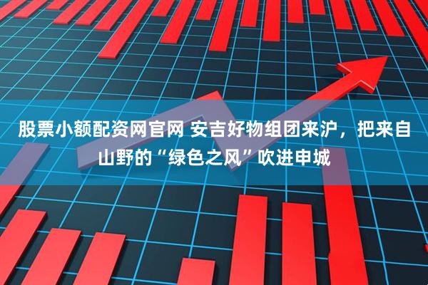 股票小额配资网官网 安吉好物组团来沪，把来自山野的“绿色之风”吹进申城